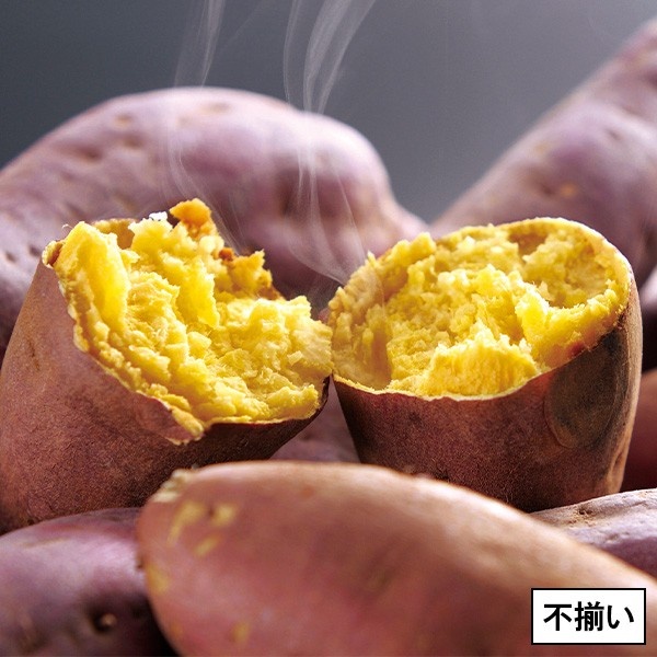 43.���F�{���Y �����p���� �g�͂邩
