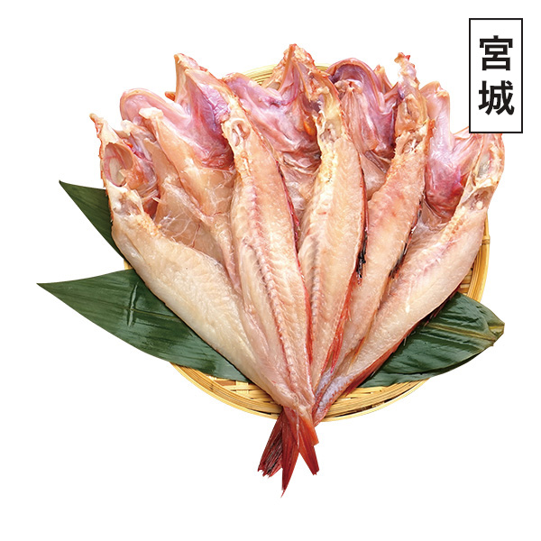 ���C�S �D�㓀�� ���񂫊J���ꎬ�d����