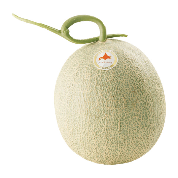 ���k�C���Y �m�[�X�����h���b�h������