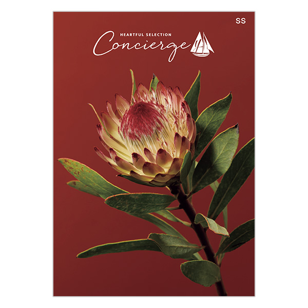 �n�[�g�t���Z���N�V���� �R���V�F���W�� SS�R�[�X