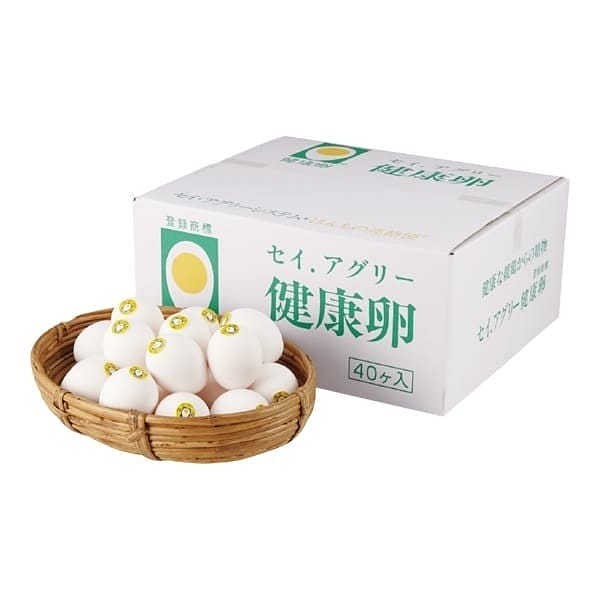 ���Z�C�A�O���[�V�X�e�� �Z�C�A�O���[���N��