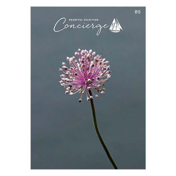 �n�[�g�t���Z���N�V���� �R���V�F���W�� BS�R�[�X