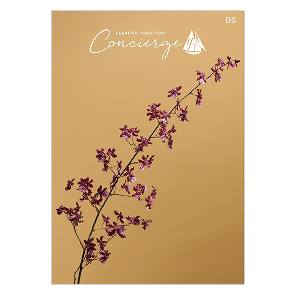 �n�[�g�t���Z���N�V���� �R���V�F���W�� DS�R�[�X