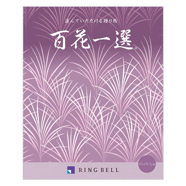 �S�Ԉ�I ������������i���j���j