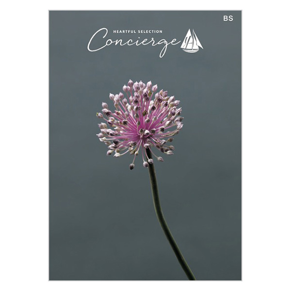 �n�[�g�t���Z���N�V���� �R���V�F���W�� BS�R�[�X