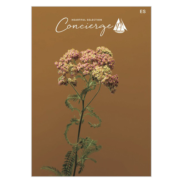 �n�[�g�t���Z���N�V���� �R���V�F���W�� ES�R�[�X