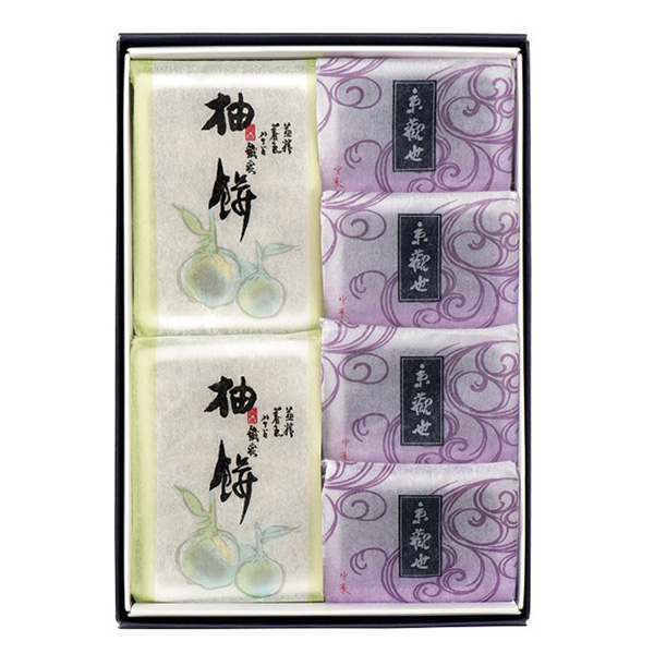 �߉��g�M ���ϐ��E�M�݋l�����i�U���j