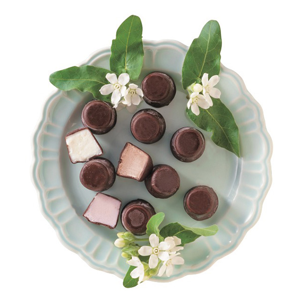 ��������� �� ���W�F �G�M���X�L���[���V���R���A�C�X�{�[��