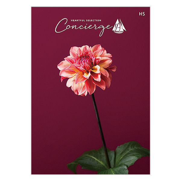 �n�[�g�t���Z���N�V���� �R���V�F���W�� HS�R�[�X