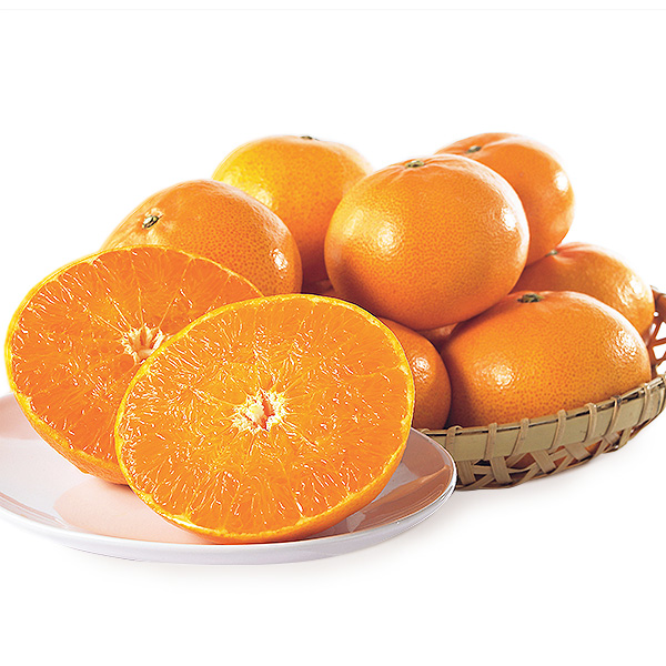 ���q���Q���Y�r���Ƃ�