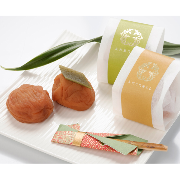 a̎RX戵iqܑrIBܑ̖z@10