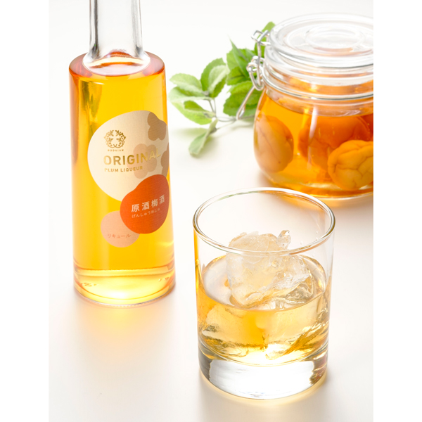 a̎RX戵iqܑr~@300ml