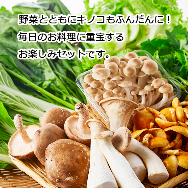 ◇〈奈良うま直販フレッシュ〉奈良野菜セット｜近鉄百貨店ネット