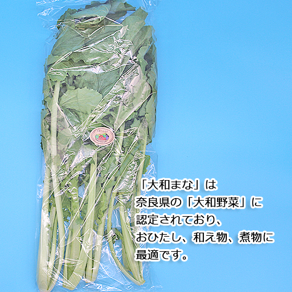 ◇〈奈良うま直販フレッシュ〉奈良野菜セット