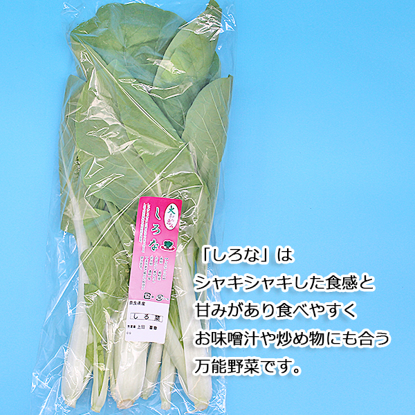 ◇〈奈良うま直販フレッシュ〉奈良野菜セット