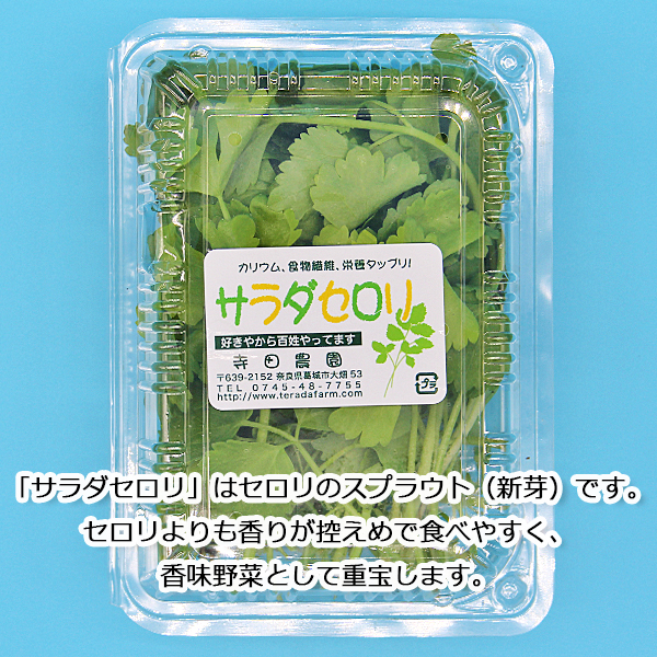 ◇〈奈良うま直販フレッシュ〉奈良野菜セット