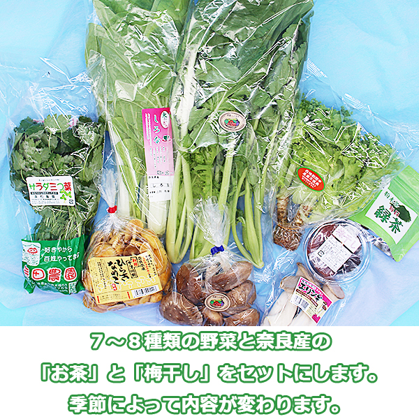 ◇〈奈良うま直販フレッシュ〉奈良野菜セット