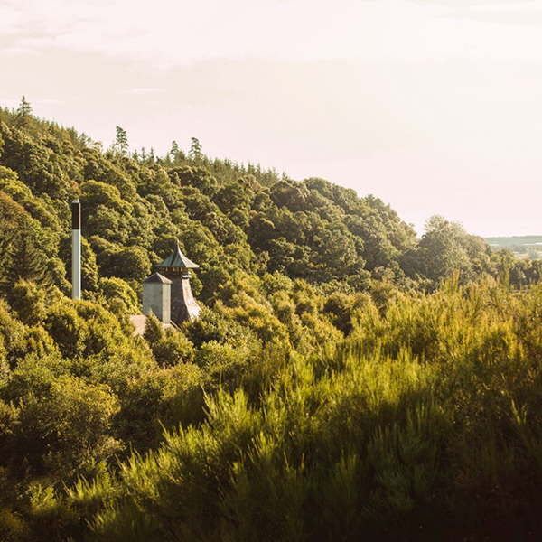 VOg XyCo[ 10N 40°700mL