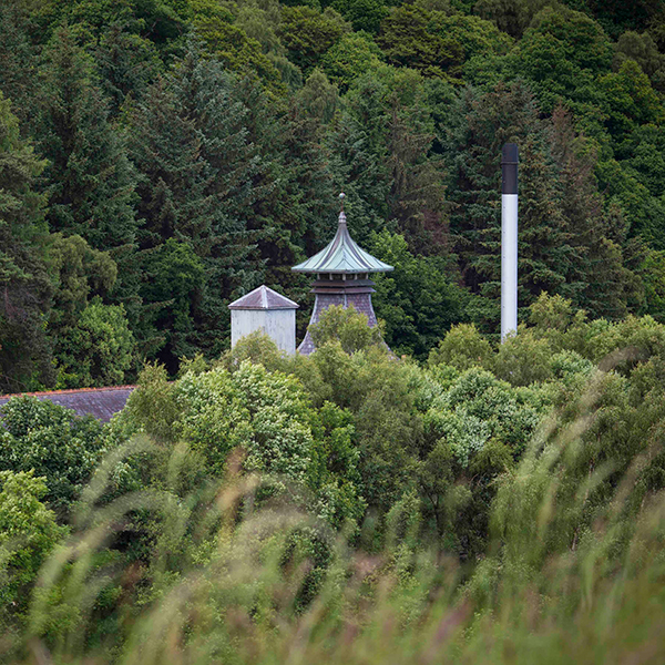 VOg XyCo[ 15N 46°700mL