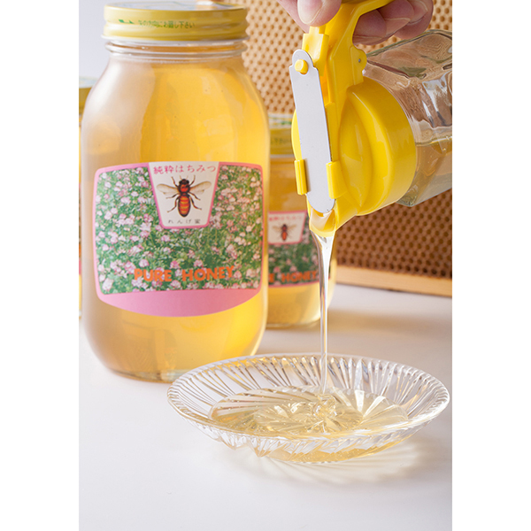 ÓX戵iqy{IrꌧYQI@450g