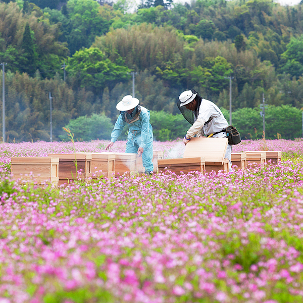 ÓX戵iqy{IrꌧYQI@180g