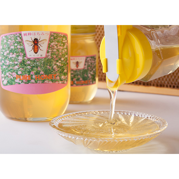 ÓX戵iqy{IrꌧYSԖI@450g