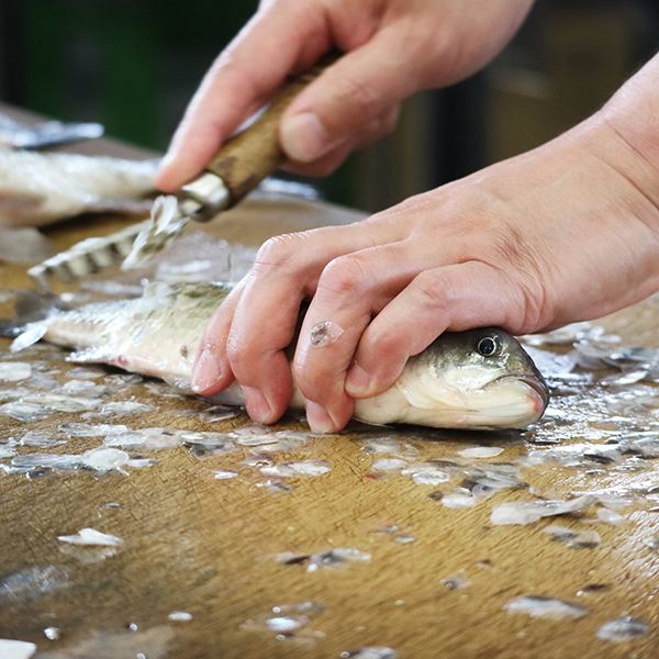 ÓX戵iqOʓrOE`[YӂȂ(~bg)