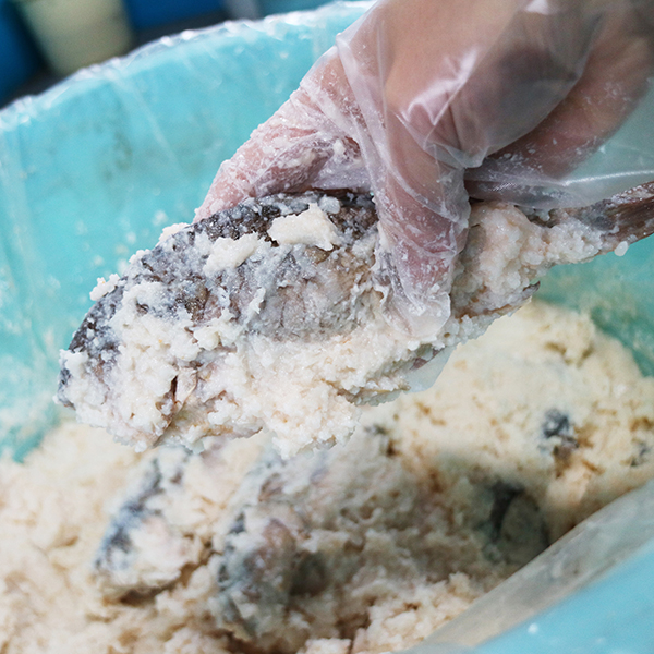 ÓX戵iqOʓrӂȂ(ђ)