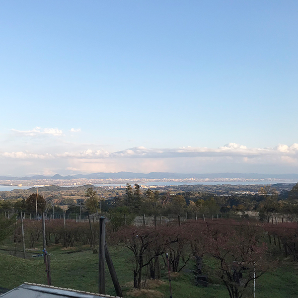 ÓX戵iqu[x[tB[YIɚru[x[Wgt@~Ah