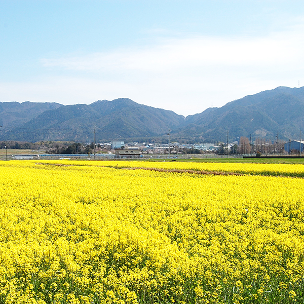 ÓX戵iq̂܂GRyr؂˖w؂΂x141g