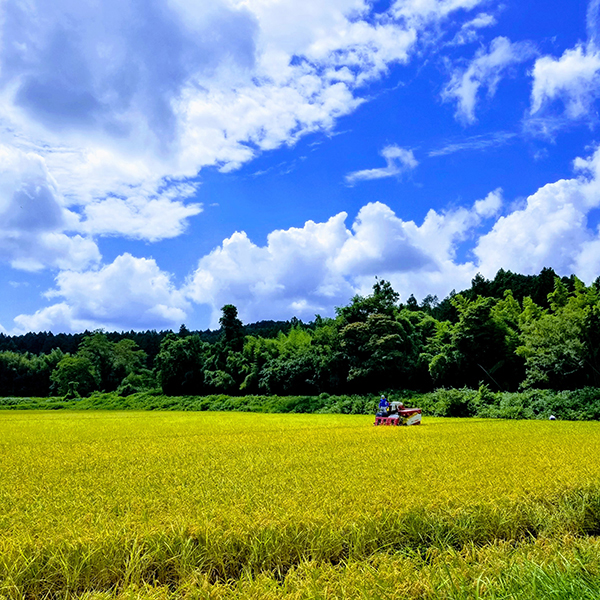 ÓX戵iq悱t@[rHׂɂɂݖ