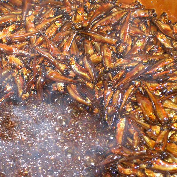 ÓX戵iq̓XނrEȂRϋl