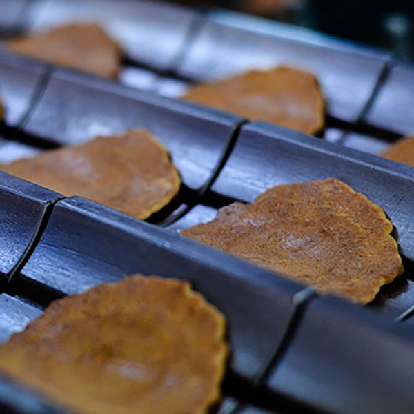 ÓX戵iq݂Ƃ{܁rs[ic݁uێqDv