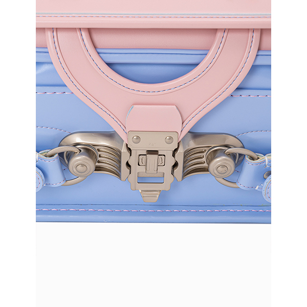 q2026 ߓS̃hZrfafaitFtFj [X^[fmwK@^n@pE_[sN×y[u[@y z