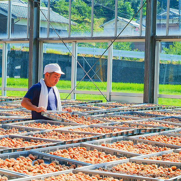 ޗǓX戵iqBr~̑ ~4Zbg