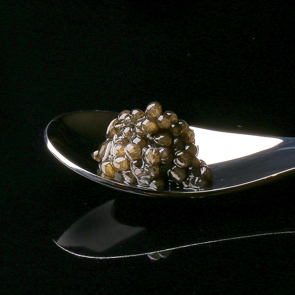 ◇〈アーマリン近大〉近大キャビア10g(3箱)*