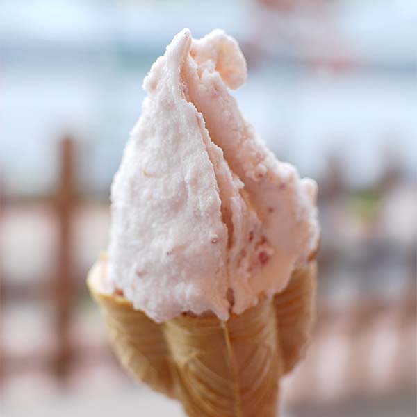 ○奈良店取扱い商品〈mamma〉大和・近江・紀州路セット8個入