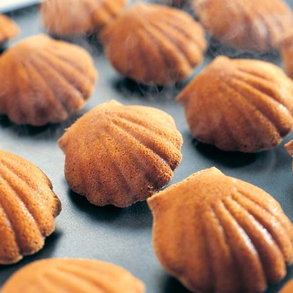 lsX戵iquJrVFE[k5蔠