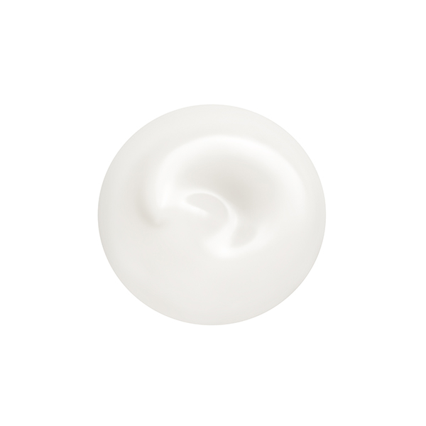 qSHISEIDO rg[^q@CgtCh@m