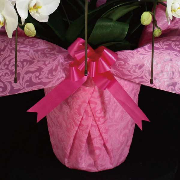 Ӓ@ց@3{ā@S@@(bsOFsNnj@