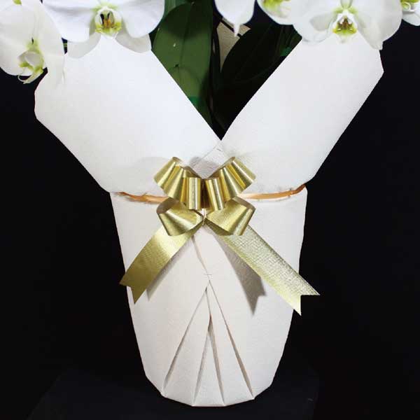 Ӓ@ց@3{ā@M@(bsOFnj@