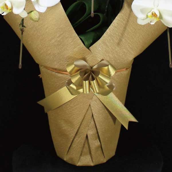 Ӓ@ց@3{ā@M@(bsOFS[hnj@