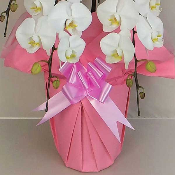 ~fBӒ@3{ā@(bsOFsNnj@