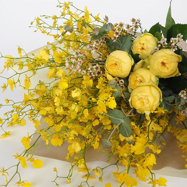 qhanna/nirTChu[P@W[k