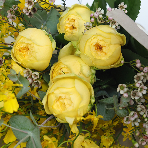 qhanna/nirTChu[P@W[k