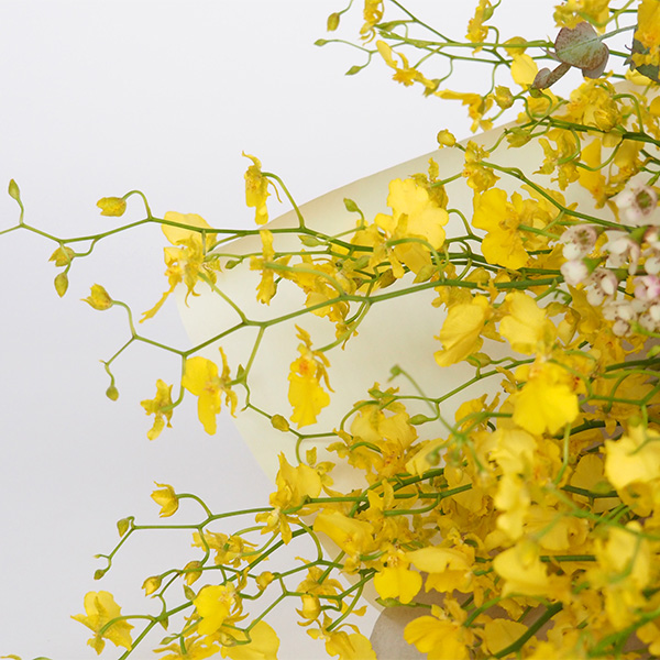 qhanna/nirTChu[P@W[k