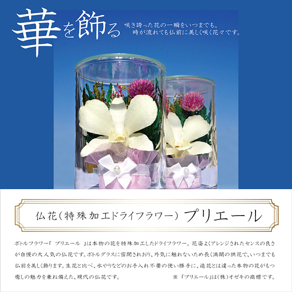 q񓰁r^R@^RvX{gt[Zbg 2/1