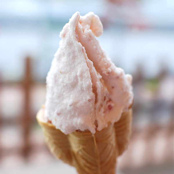 ޗǓX戵iqmammarߓSWF[g10Zbg