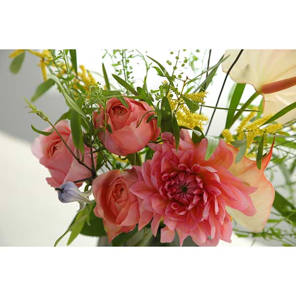 qhanna/nirniZNg G߂u[P M