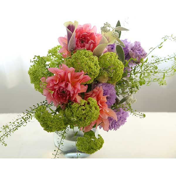 qhanna/nirniZNg G߂u[P L